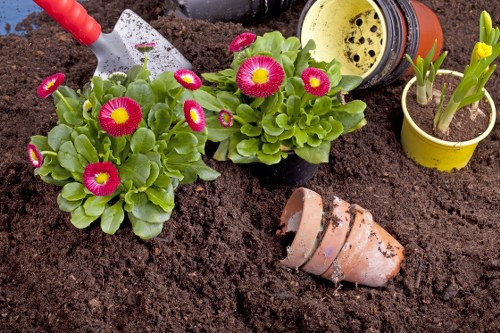 Gardeners St Margarets improving a tidy local garden
