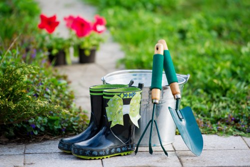 Professional hedge trimming in a St Margarets garden