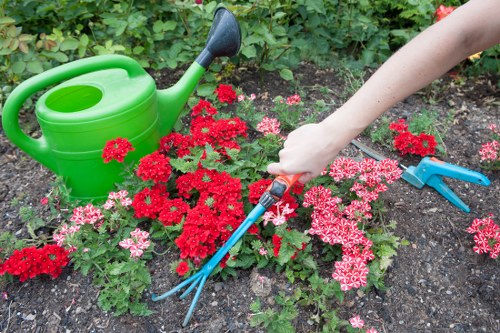 Gardeners in St Margarets carrying out insured and safe outdoor maintenance