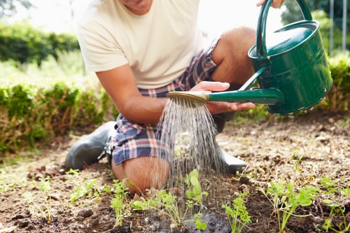 Expert hedge shaping for a smart and healthy garden boundary
