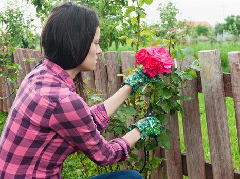 Local gardening services for attractive St Margarets gardens