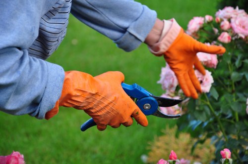 Gardeners St Margarets accessibility statement introduction