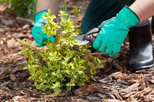 Inclusive access commitment for gardeners in St Margarets