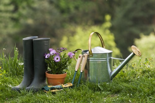Local garden maintenance in St Margarets with tidy hedges and healthy plants
