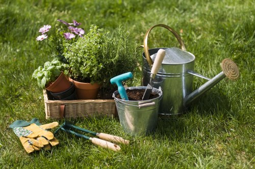 Garden hedge cutting work improving privacy and appearance