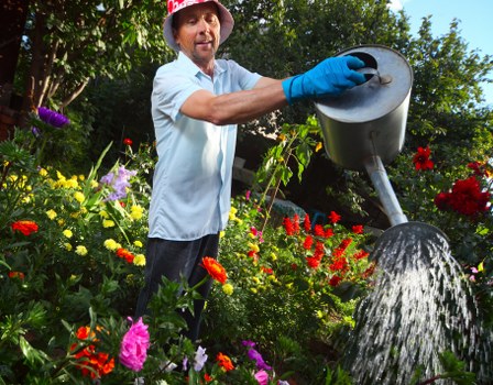 Professional garden maintenance in St Margarets with planting and pruning