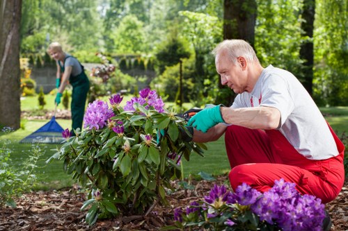 Analytics cookies used for visitor tracking on St Margarets gardening pages