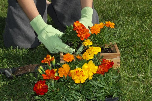 Professional garden care for a St Margarets property