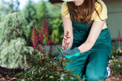 Responsible gardening service following health and safety standards