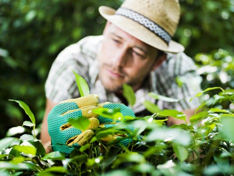 Professional gardeners carrying out secure outdoor maintenance
