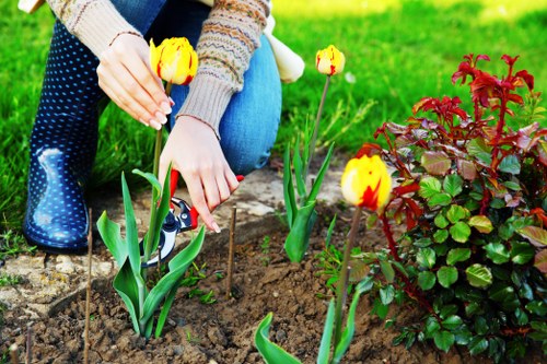 Professional garden maintenance in St Margarets with shrubs and lawns