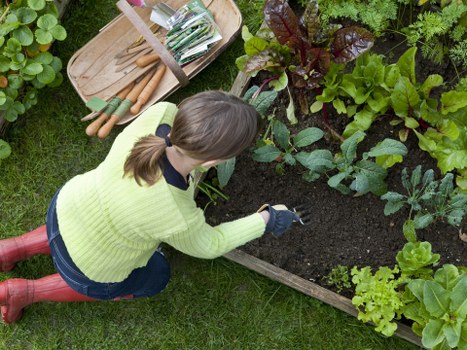 Tidy outdoor space after garden clearance
