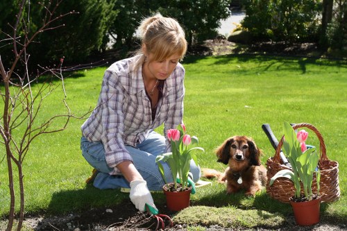 Screen-reader support information for St Margarets gardeners