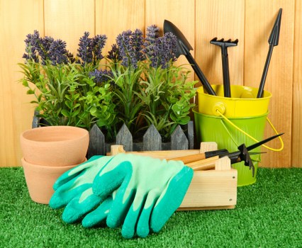 Seasonal planting and evergreen landscaping in a St Margarets outdoor space
