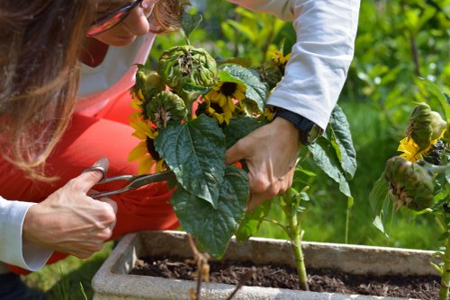 Seasonal planting and garden maintenance in St Margarets