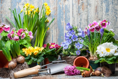 Lawn care and seasonal garden upkeep in St Margarets