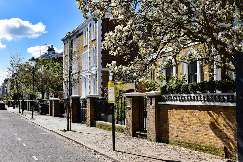 A small front garden in a residential area featuring a white wall and a paved pathway made of brick and concrete. The garden bed in front of the house contains a variety of low-growing plants, includi